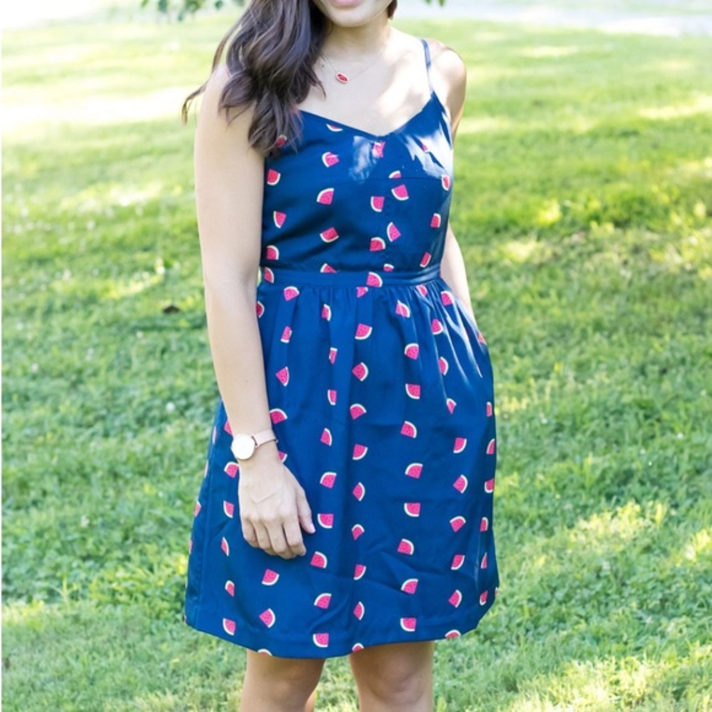 J.Crew Watermelon Novelty Print Knee Length Summer Dress Size 6 w/ pockets